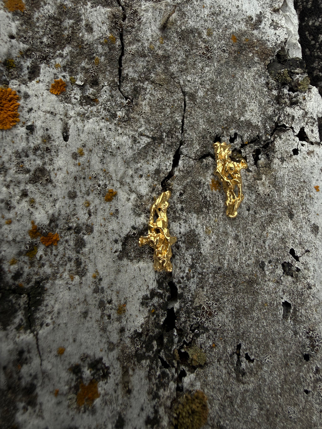 ASSA Stud Earrings