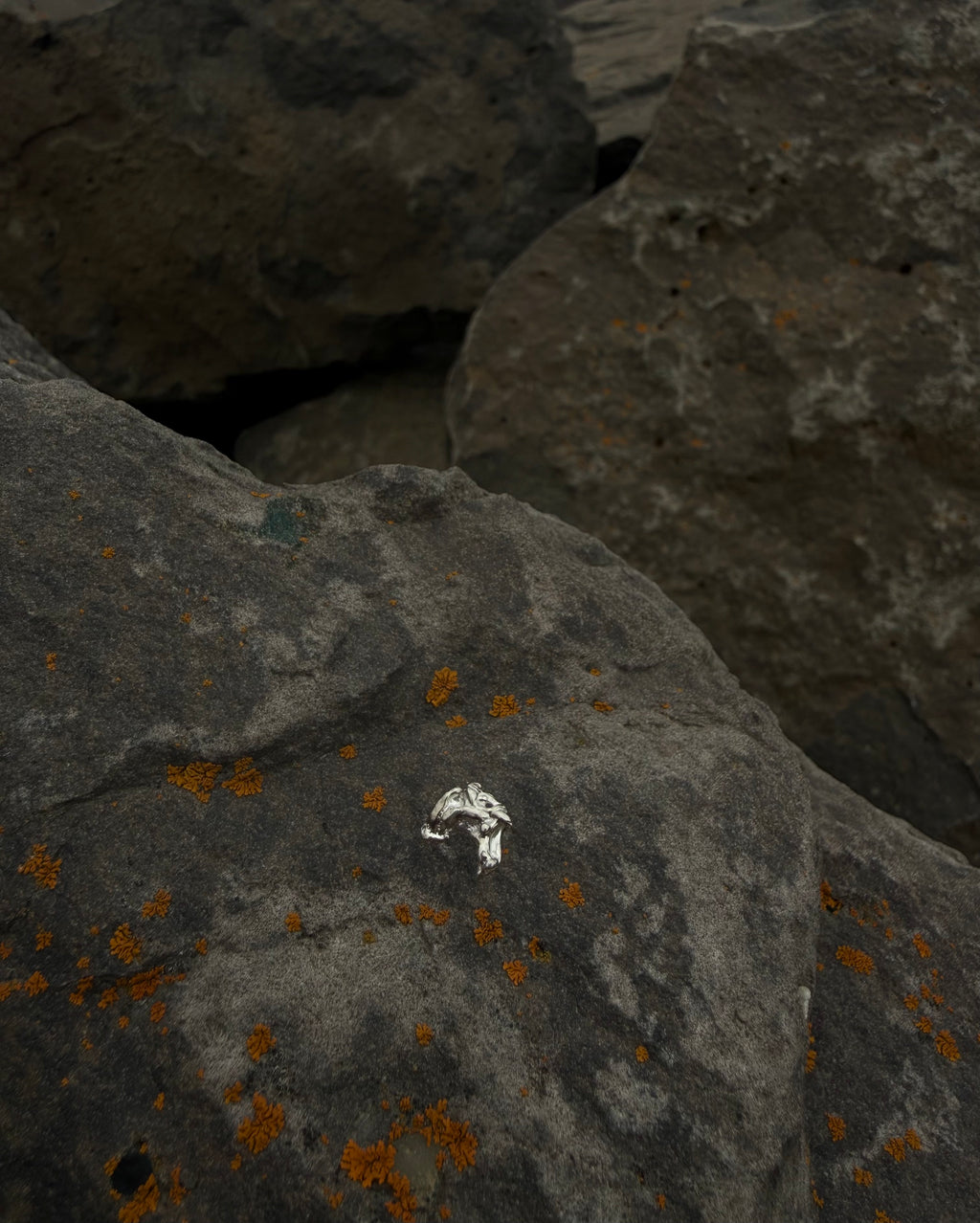 SIRKA Stud earrings