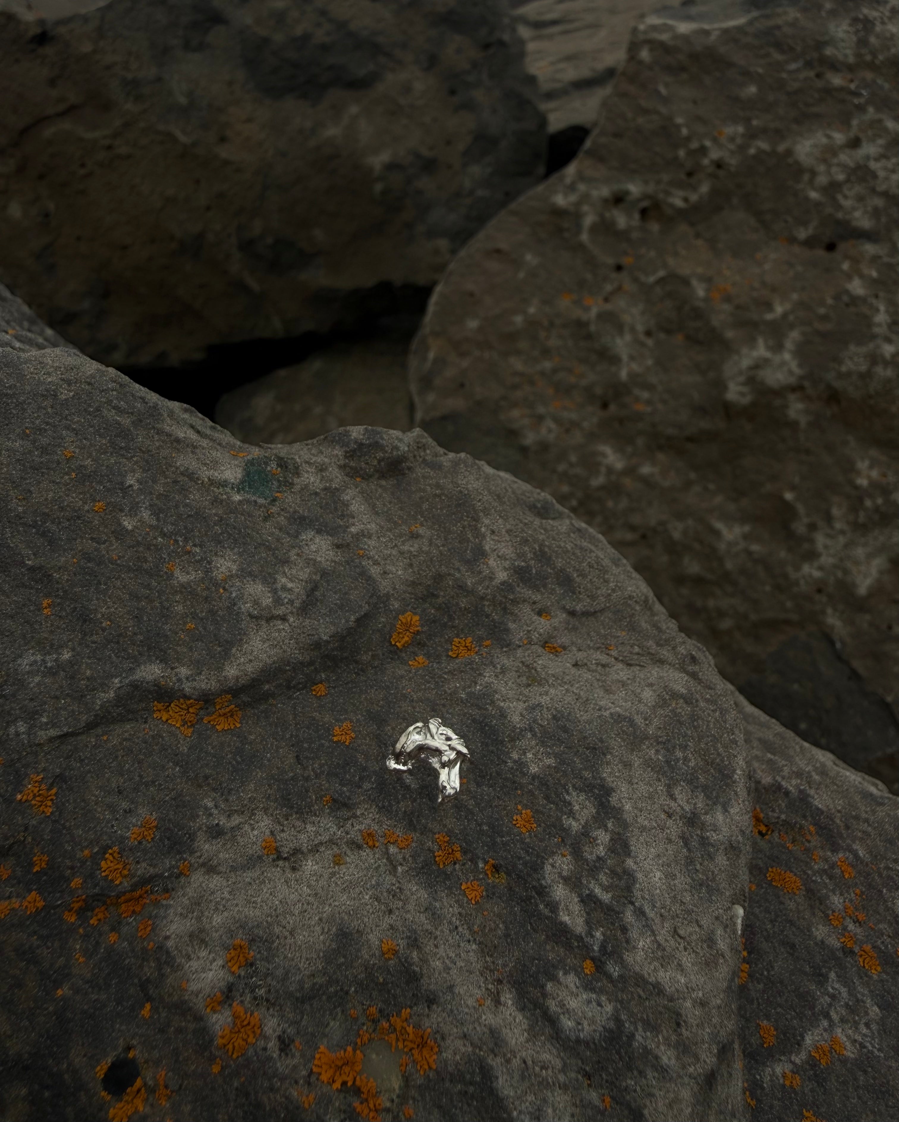 SIRKA Stud earrings