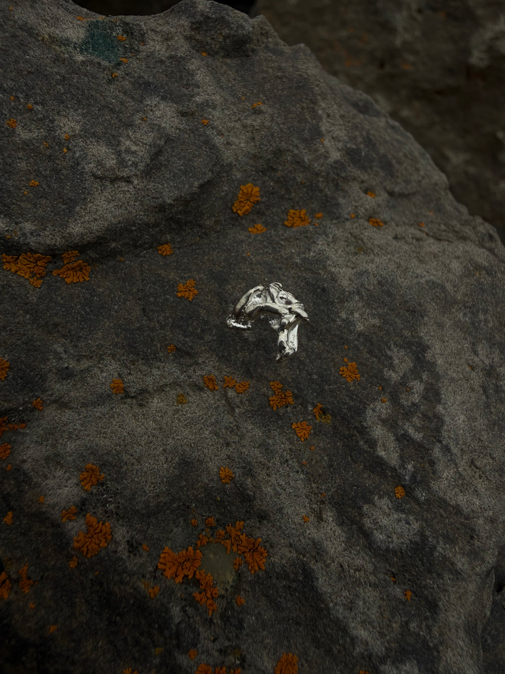 SIRKA Stud earrings