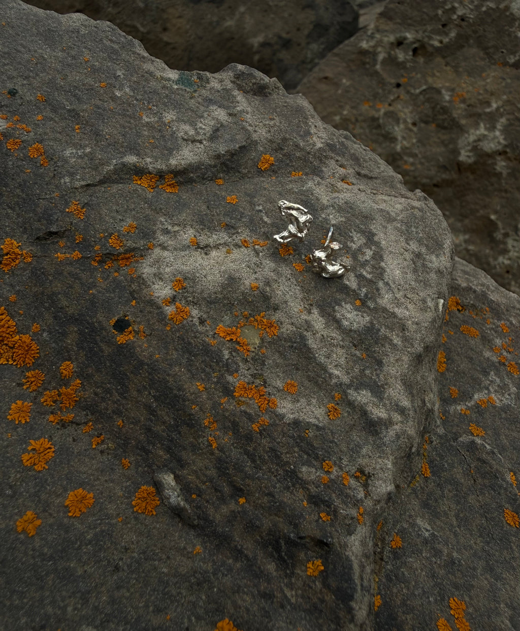 SIRKA Stud earrings