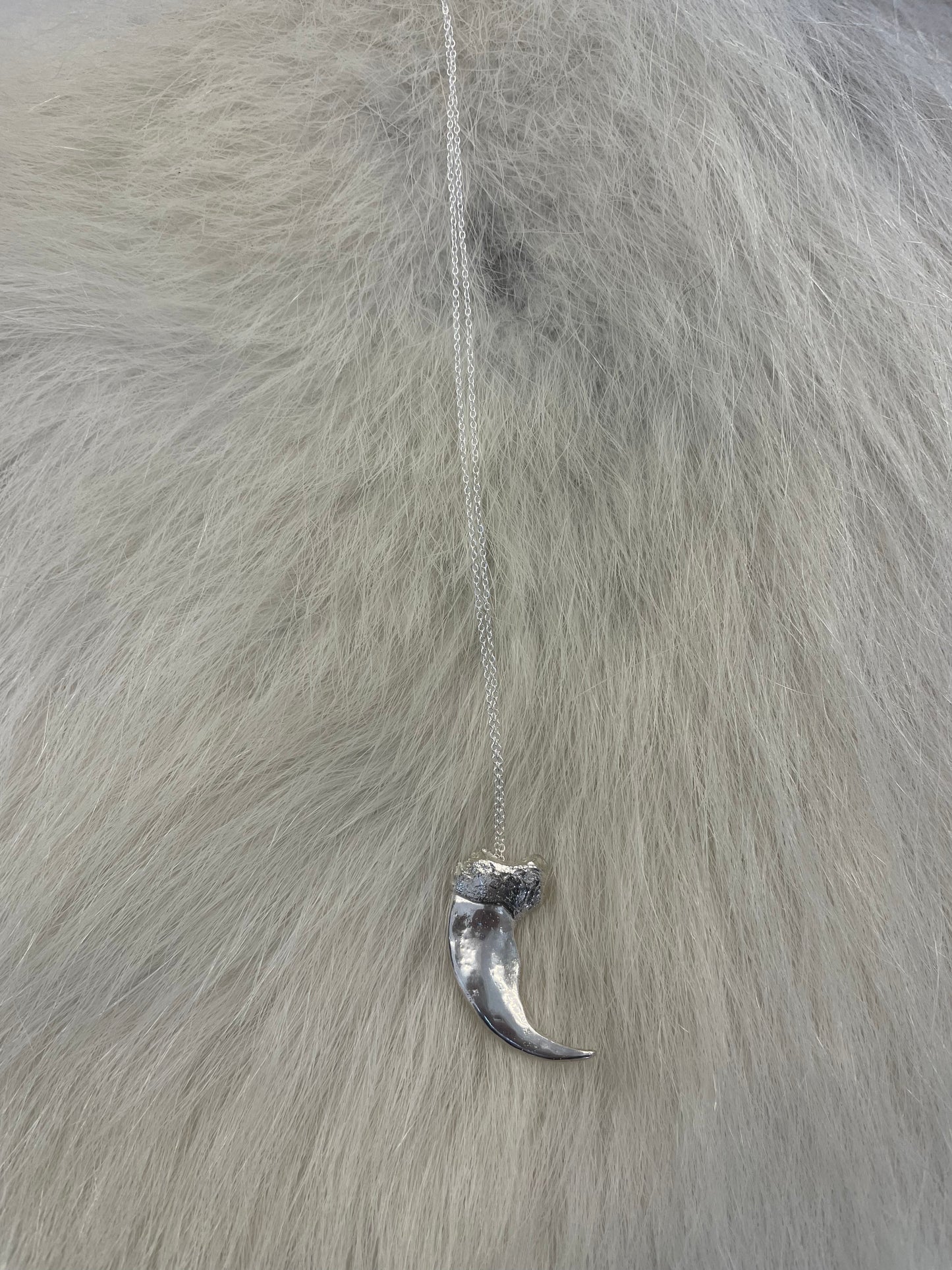Polar bear claw Necklace