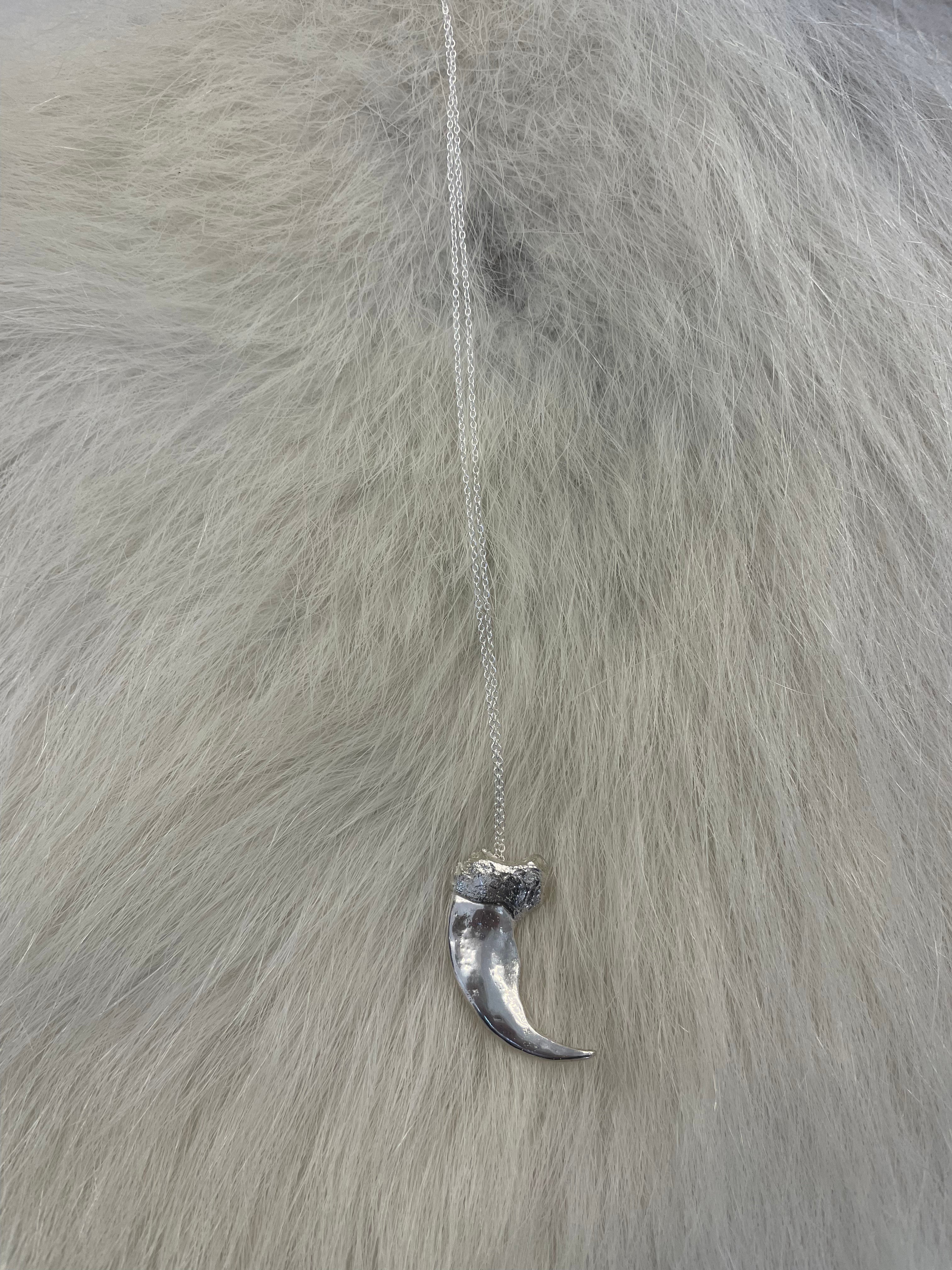Polar bear claw Necklace