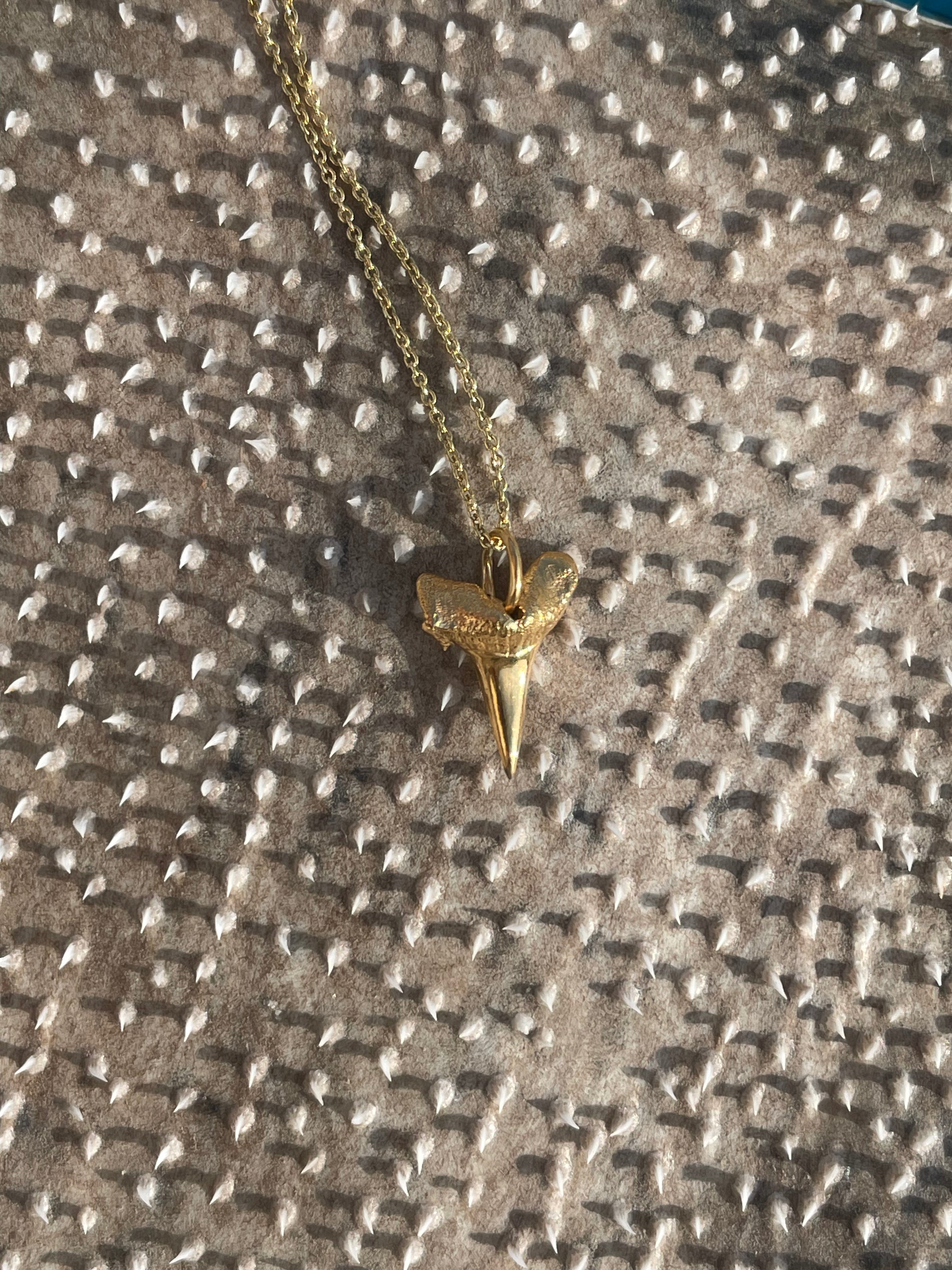 Hámeri Shark tooth