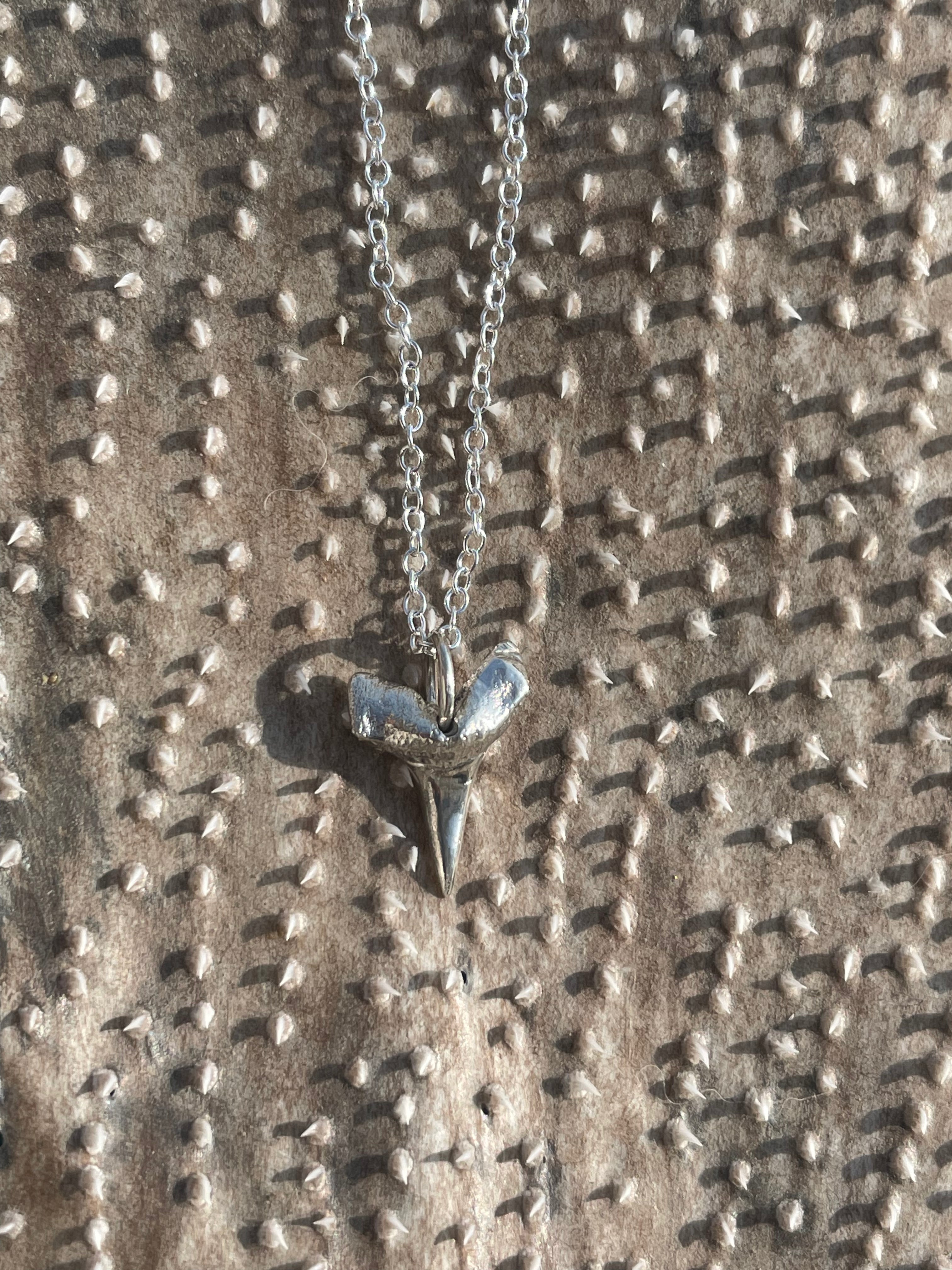 Hámeri Shark tooth