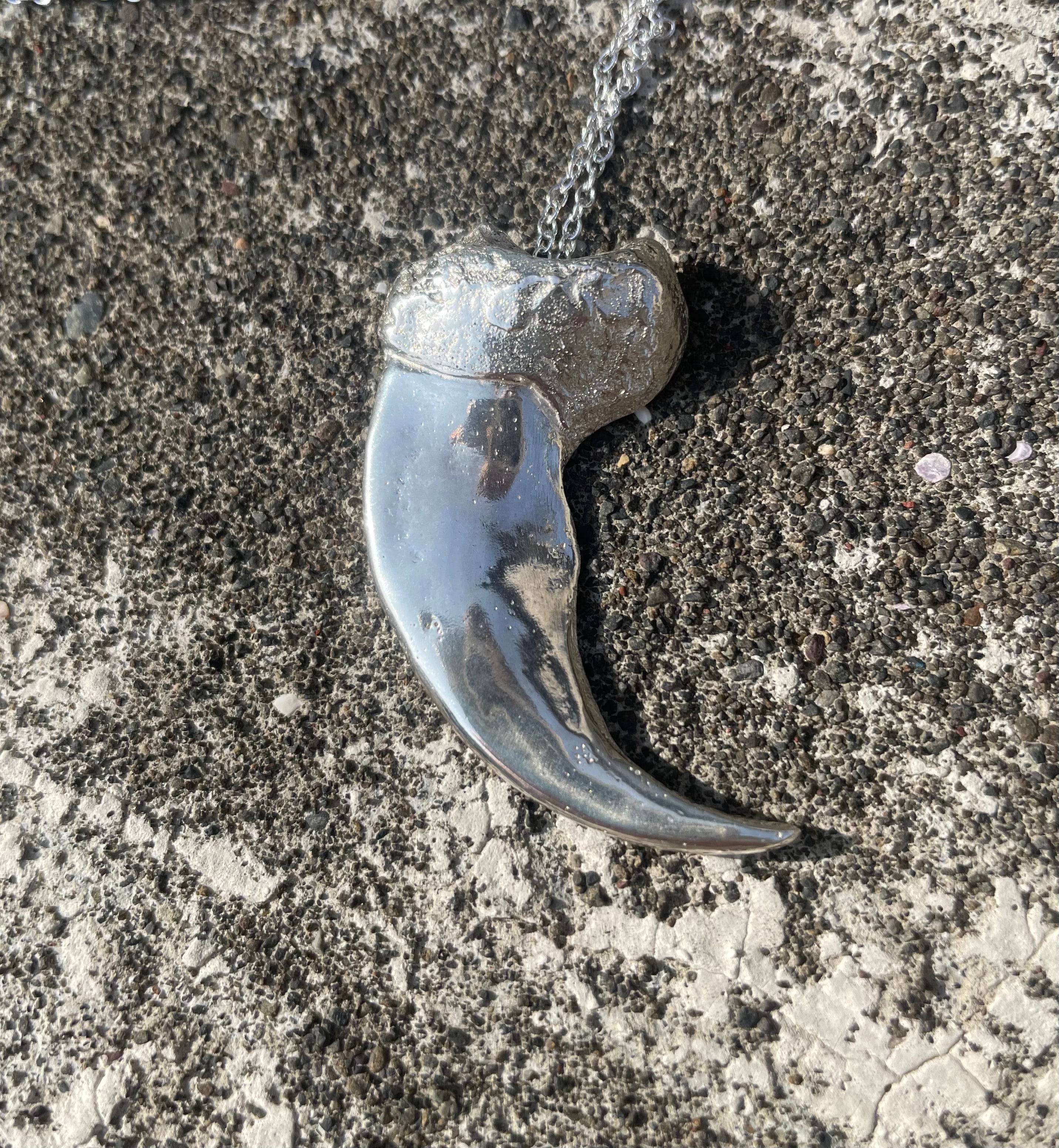 Polar bear claw Necklace