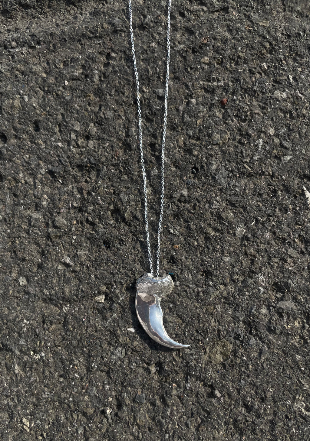 Polar bear claw Necklace