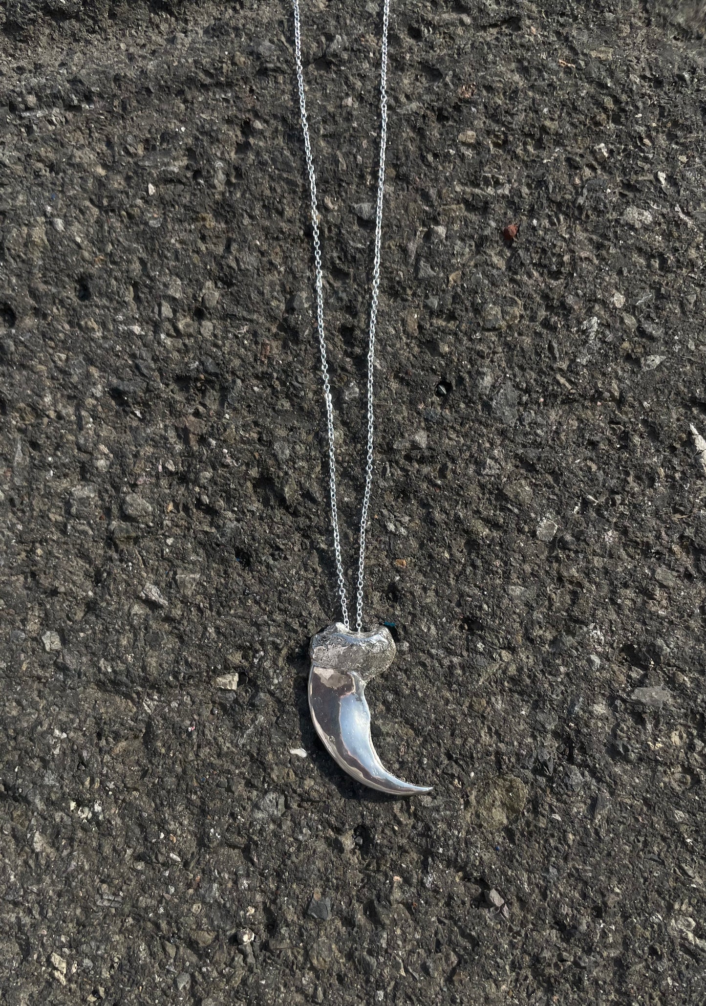 Polar bear claw Necklace