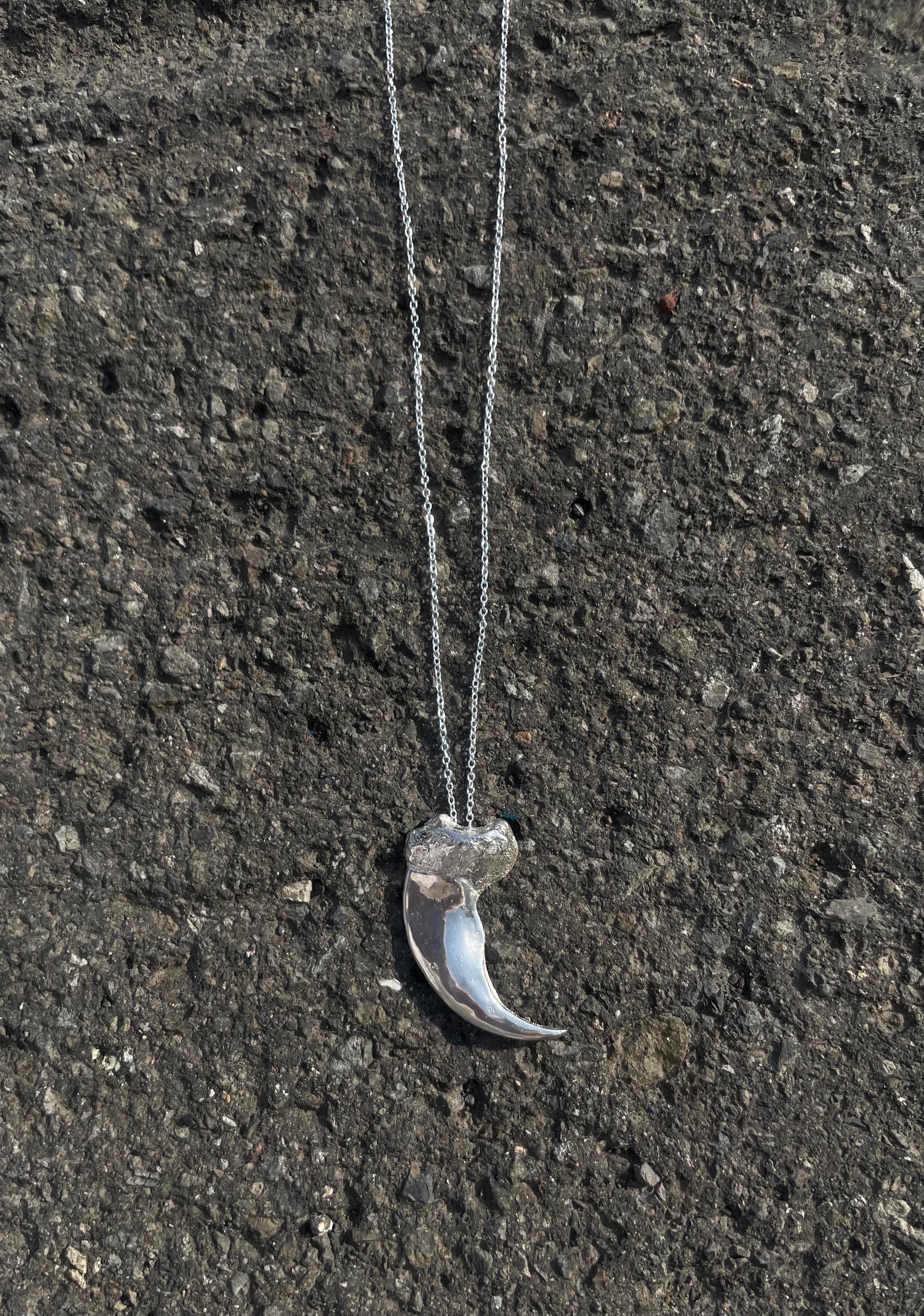 Polar bear claw Necklace