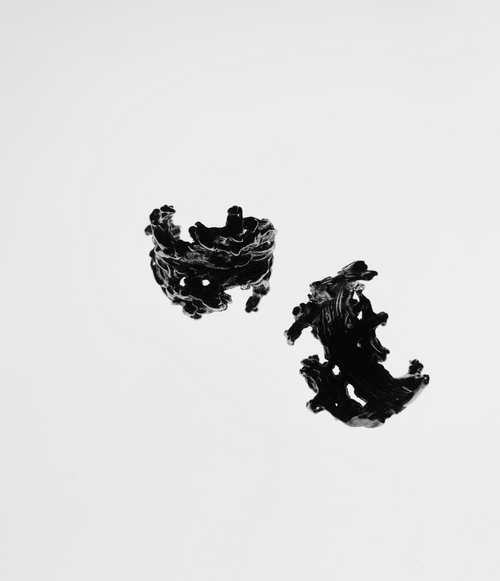 ASSA Earrings
