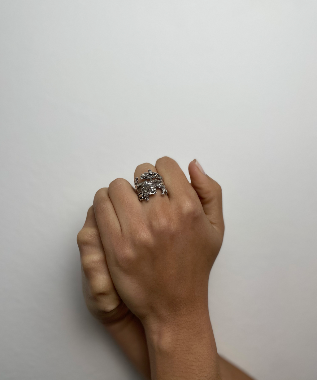 ASSA Ring