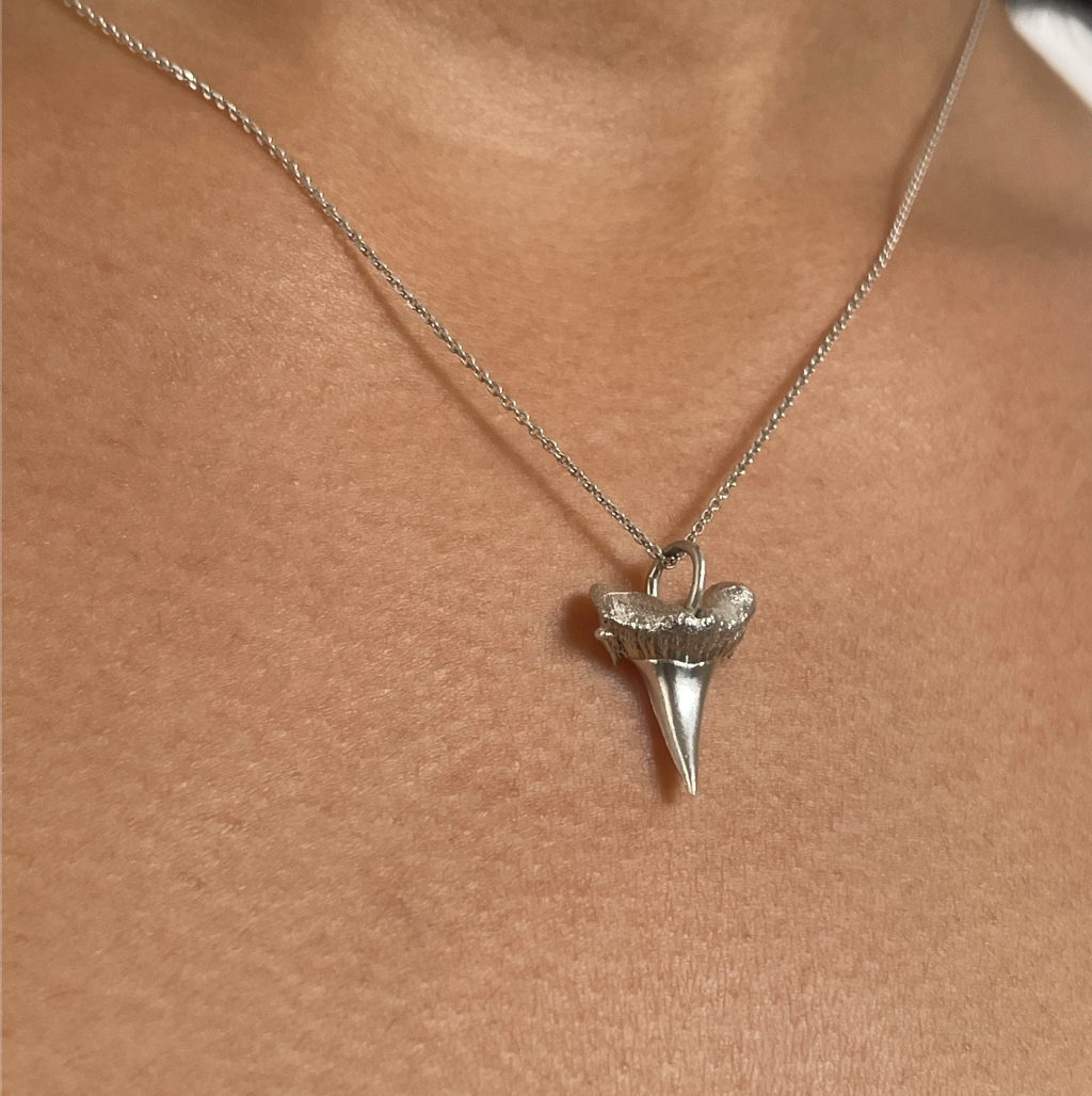 Hámeri Shark tooth