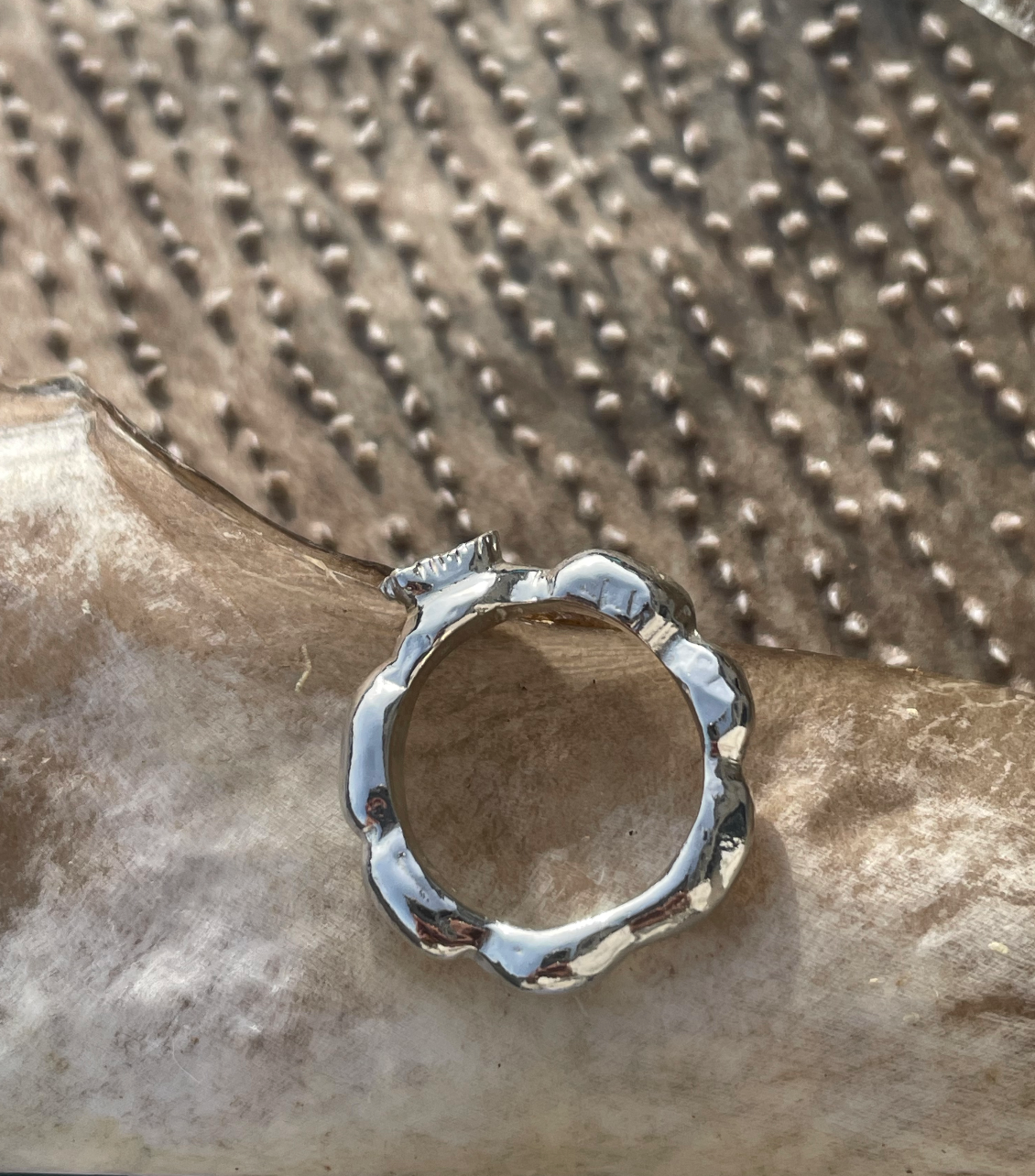 Bladder Wrack and Atlantic Wolffish tooth Ring
