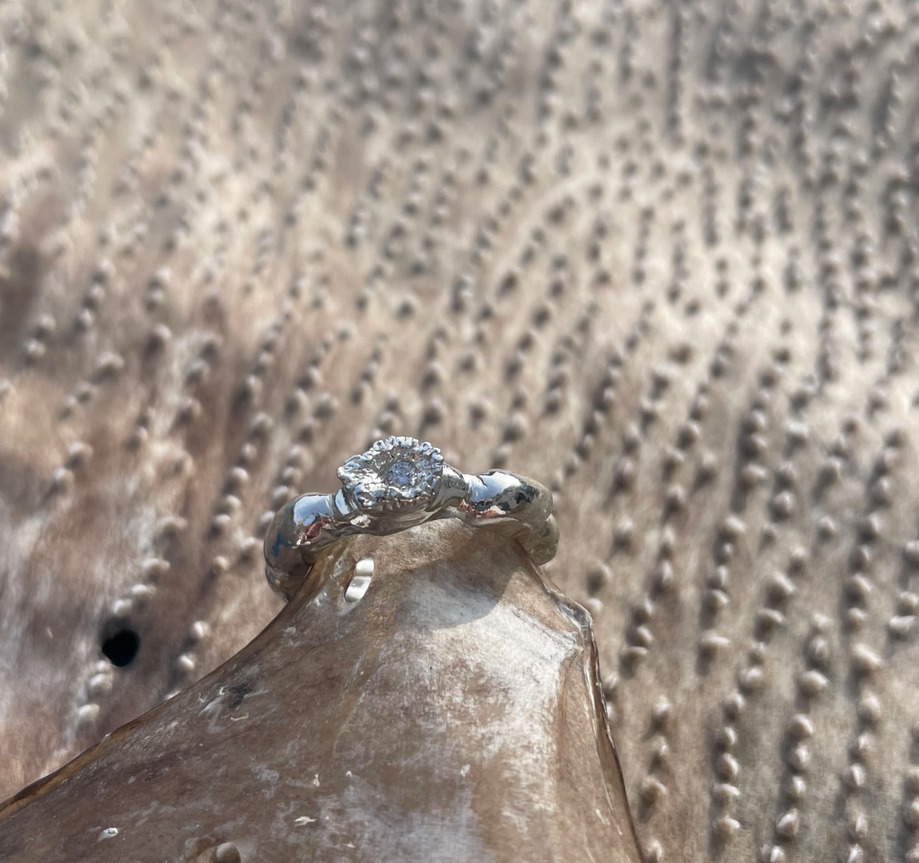 Bladder Wrack and Atlantic Wolffish tooth Ring